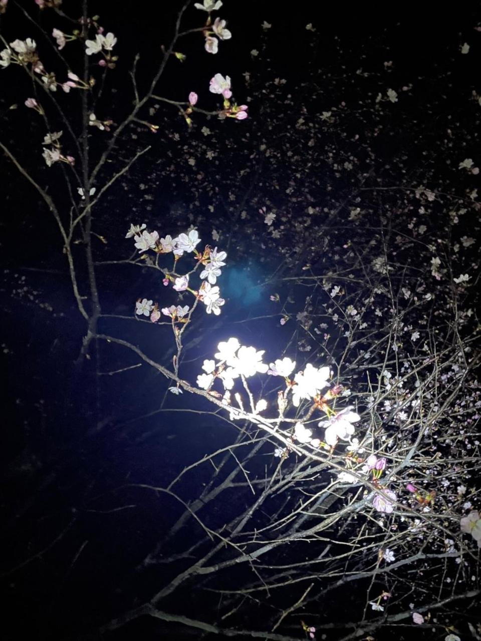 Kinugawa Keisui Hotel Nikko Bagian luar foto