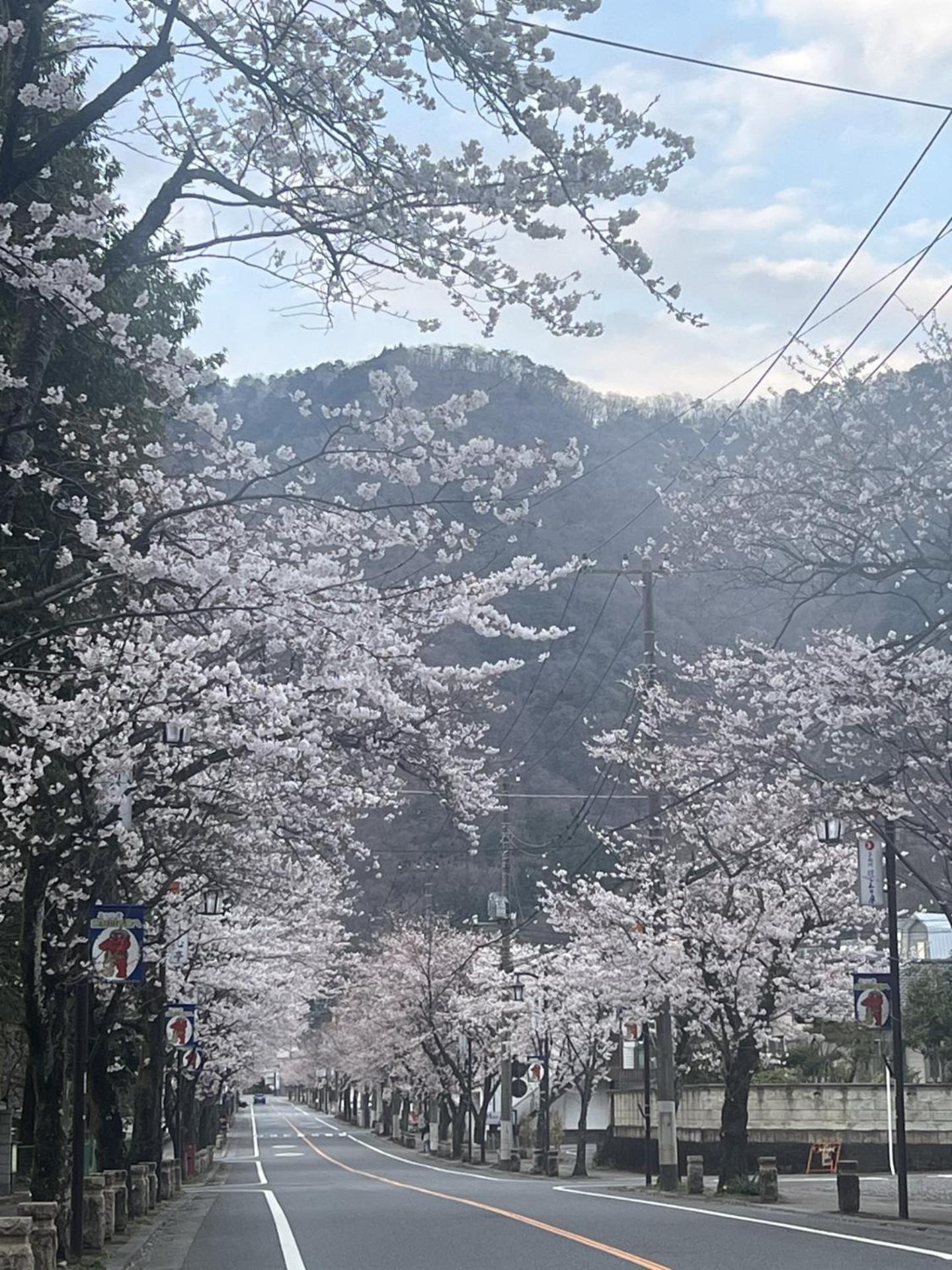 Kinugawa Keisui Hotel Nikko Bagian luar foto