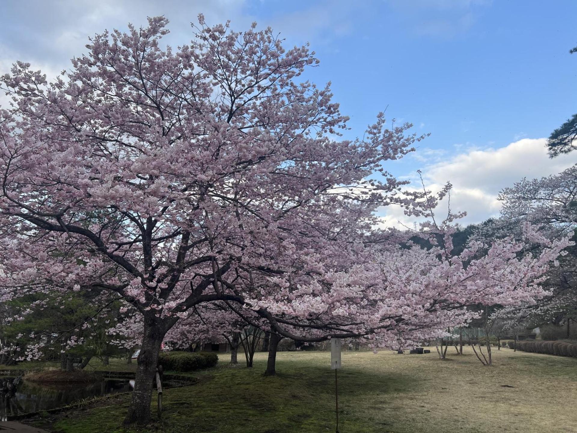 Kinugawa Keisui Hotel Nikko Bagian luar foto